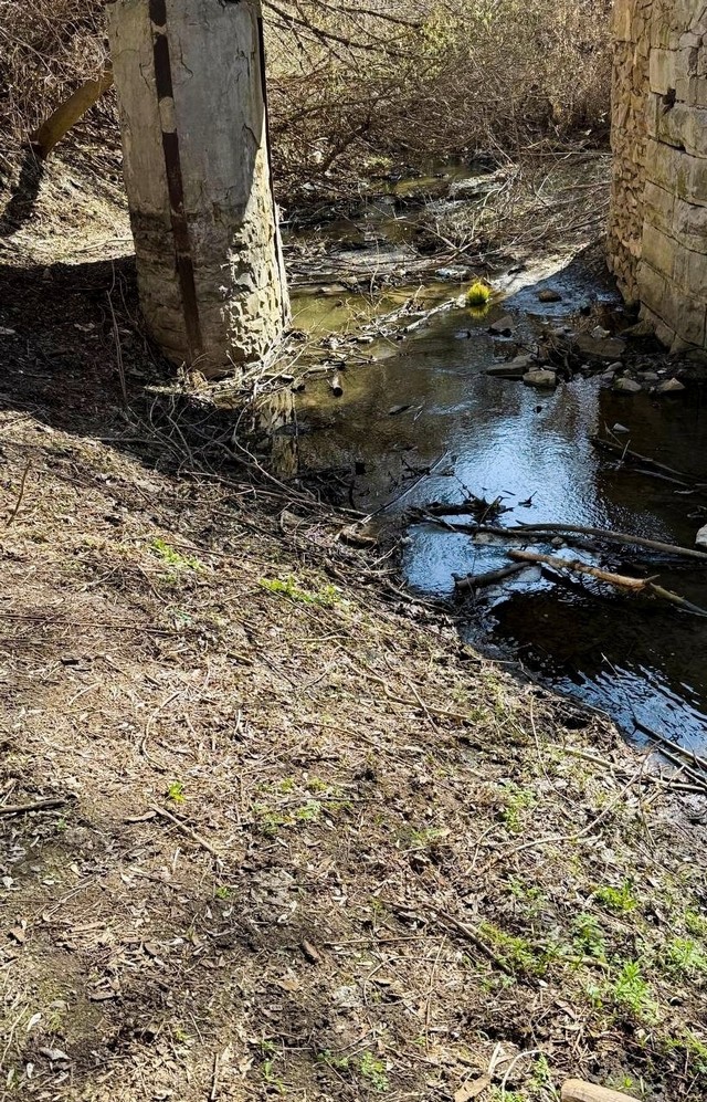 foto 2025 04 08 09 08 005